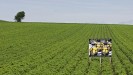 field1 field1
